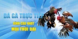 Da Ga Hi88 Choi La Thang