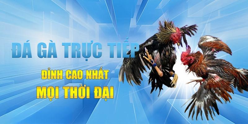 Da Ga Hi88 Choi La Thang