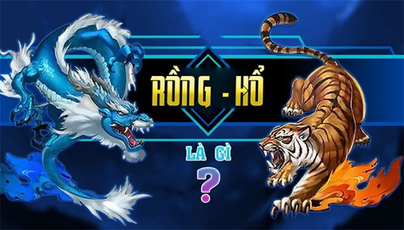 Rong Ho Hi88 La Gì